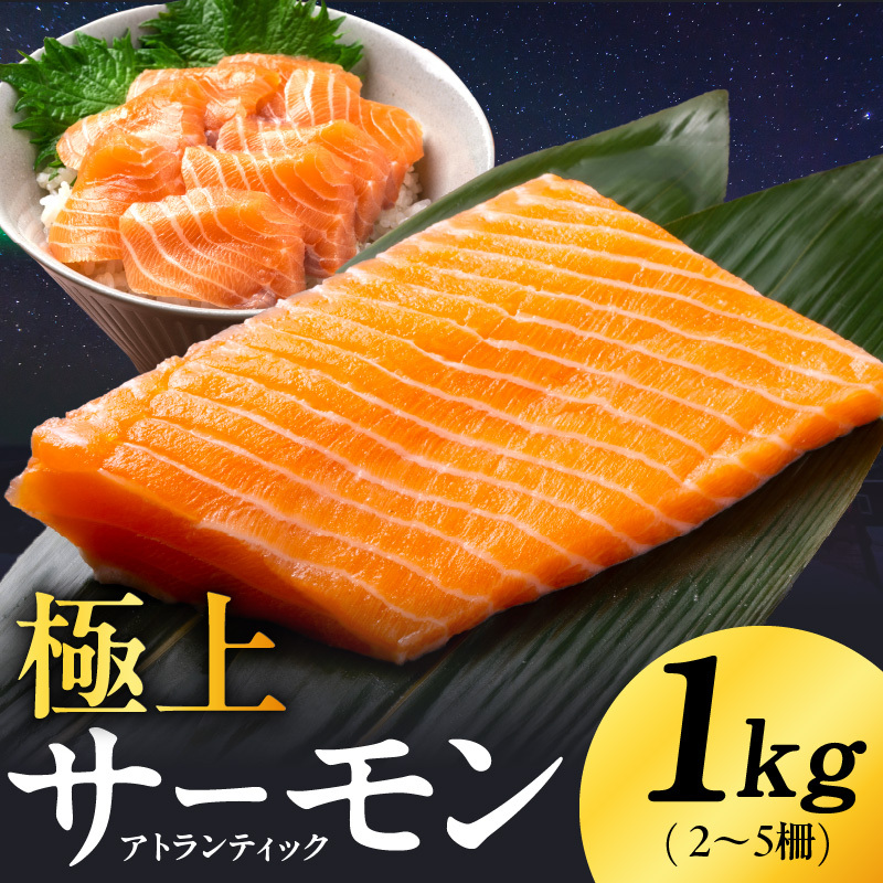 極上 アトランティックサーモン 1kg【ノルウェー産 2～5柵 訳あり サイズ不揃い 上質 刺身 海鮮丼 サラダ 冷凍 物価高応援】 kgp0079