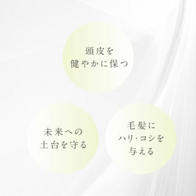 ふるさと納税 富田林市 プテロ　ARエッセンスplus+ |  | 02