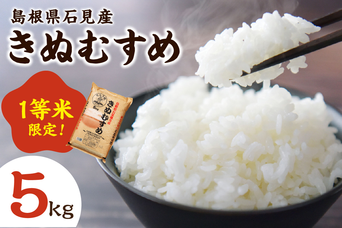 【令和6年産】石見産きぬむすめ5kg 白米 玄米 選択可 お取り寄せ 特産 お米 精米 ごはん ご飯 コメ 新生活 応援 準備 5キロ 【970】