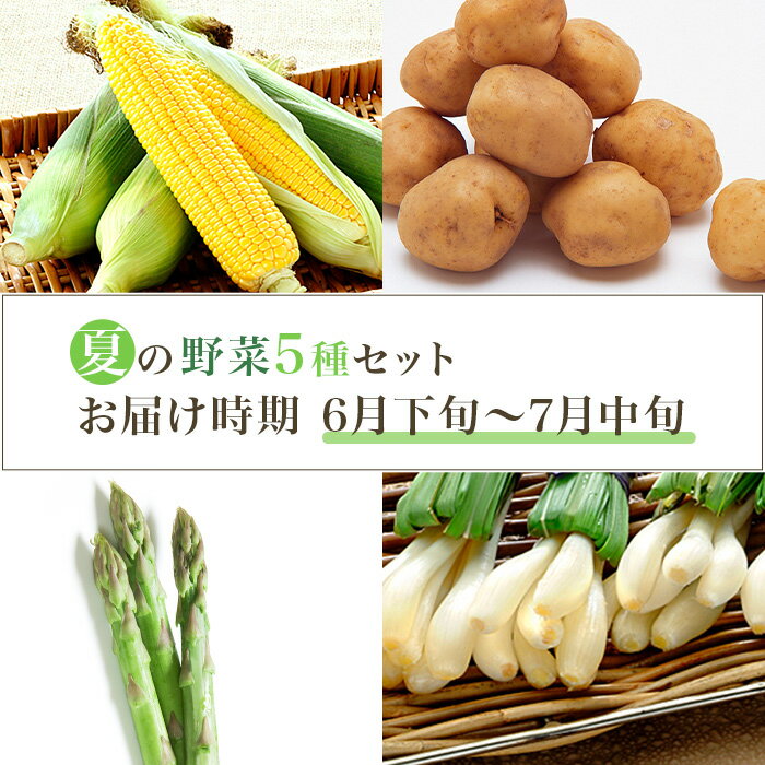 【ふるさと納税】658 茨城町 夏の野菜セット とうもろこし じゃがいも エシャロット 小松菜 アスパラガス