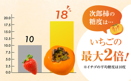 ≪先行予約≫ 生産量日本一 豊橋石巻産 次郎柿 ご自宅用 3kg 柿 訳あり 甘柿 果物 フルーツ 10月 11月 愛知県 豊橋市 ビタミンC ブランド柿 