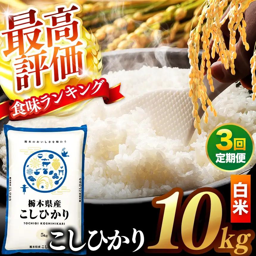 【先行予約】【定期便3回】 ＼白米／ 栃木県産コシヒカリ 10kg