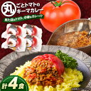 【ふるさと納税】赤いとまて箱（丸ごとトマトのキーマカレー 4食）　【buyer\'s room2023 経済産業大臣賞受賞！】 カレー トマト 冷凍 白川町 / 一力屋[AWAE001]