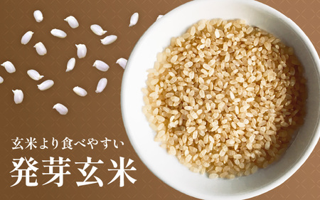 【令和6年産】発芽玄米 特別栽培米 コシヒカリ 5kg 【米 玄米 こしひかり ギャバ GABA 特別栽培 食物繊維 栄養 真空パック ごはん ご飯 おいしい ふるさと納税米】 [B-2933]