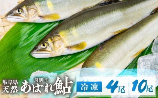 
                  ＜8月から寄附額改定＞《先行予約》＜8月から寄附額改定＞2026年産 飛騨 天然鮎 中サイズ 4尾 10尾 天然 アユ 鮎 選べる内容量 岐阜県 室田名人 宮川下流 飛騨のあばれ鮎 高級料亭御用達 急速冷凍 冷凍 あゆ 魚 天然 川魚 13000円 32000円
                