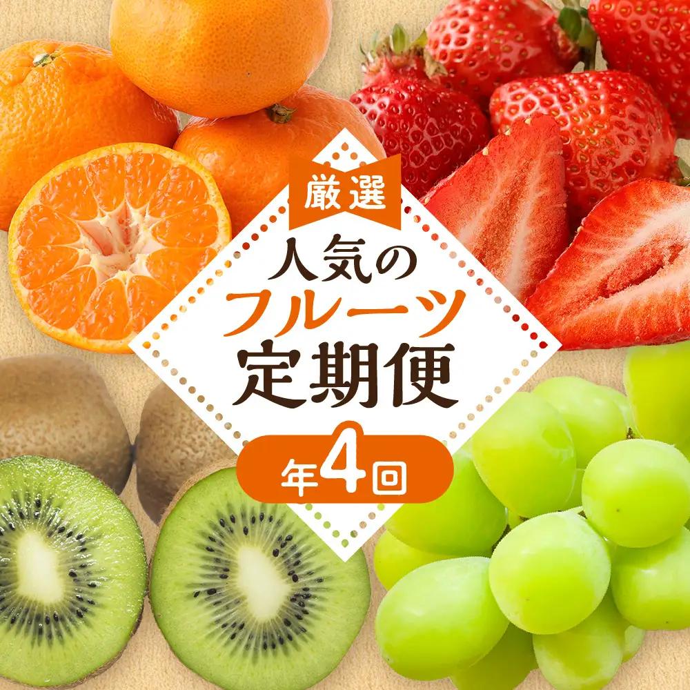 【定期便/年4回】フルーツ ＪＡむなかた厳選！人気のフルーツ定期便 _HB0140