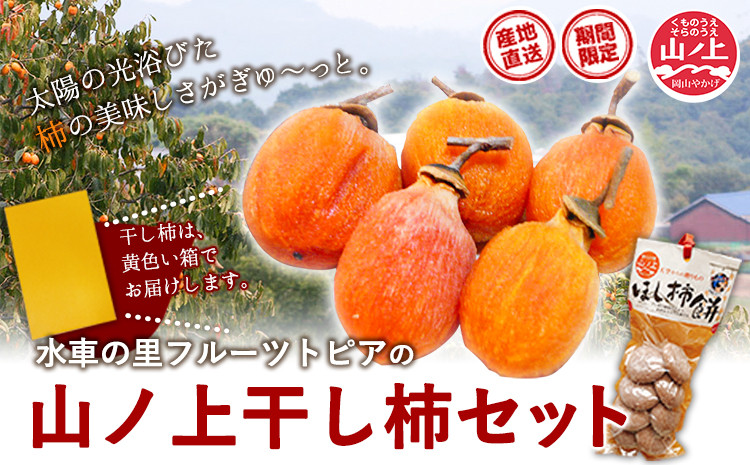 
            28.【先行予約】 山ノ上 干し柿 セット 《12月上旬-12月末頃出荷》 水車の里フルーツトピア 岡山県 矢掛町 柿 果物 フルーツ 干柿餅
          
