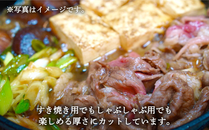 【牧場直送】人気返礼品セット！牛肉100%ふんわりロールステーキ 4個＆しろいし牛 すきしゃぶ用スライス（ロース） 600g【有限会社佐賀セントラル牧場】 [IAH119]