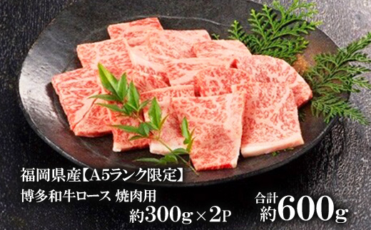 福岡県産【A5ランク限定】博多和牛 ロース 焼肉用 600g(300g×2P) 冷凍【配送不可地域：離島】