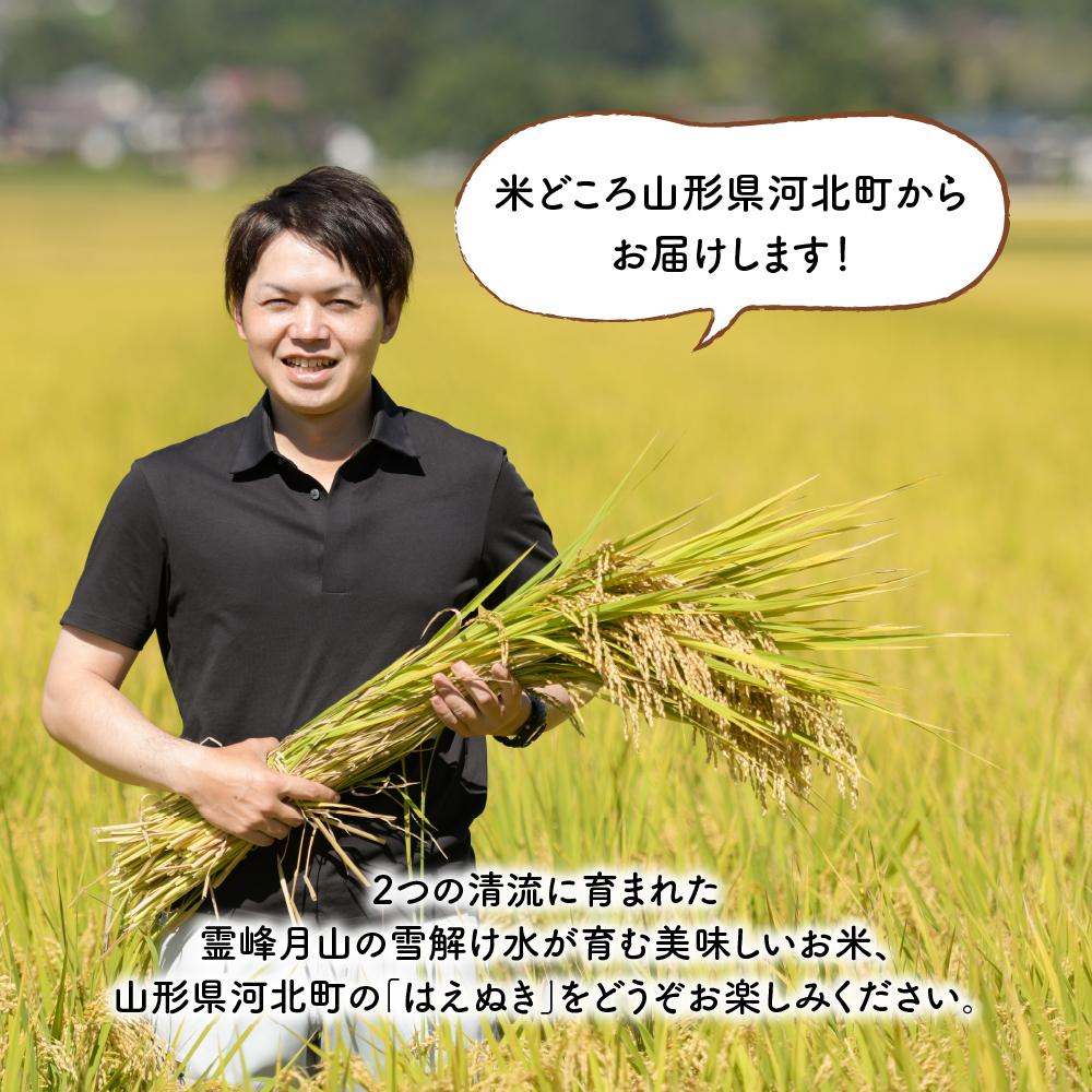 【令和6年産米】※2025年6月上旬スタート※ はえぬき60kg（20kg×3ヶ月）定期便 山形県産 【JAさがえ西村山】