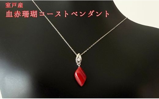 
            珊瑚 血赤珊瑚 コーストペンダント K18 ホワイトゴールド 天然 赤珊瑚 ダイヤモンド ネックレス ジュエリー 高級 宝石 海の宝石 プレゼント ギフト 記念日 誕生日 一生物 日本製 上品 エレガント アクセサリー レディース ふるさと納税 高知県 室戸市
          