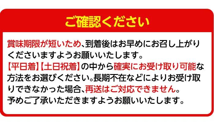 a881-01 【平日着】＜先行予約受付中！2027年2月上旬～3月下旬に発送予定＞ いちご・さがほのか(合計24粒～30粒)【佳農園】国産 鹿児島県産 苺 イチゴ フルーツ 果物 くだもの ギフト 