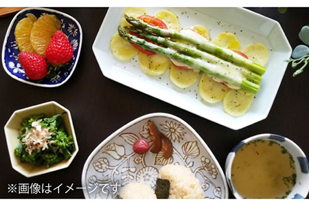 【波佐見焼】八角 プレート S 5枚セット 小皿 小鉢 食器 皿 【和山】 [WB122]  波佐見焼