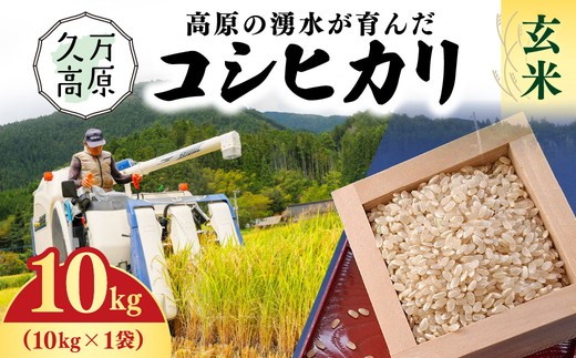 【R7年産】愛媛県 久万高原町 コシヒカリ10kg 玄米 ｜ お米 コメ こめ 令和7年産 10kg ご飯 ごはん 朝食 昼食 家庭用 栄養 玄米 ※北海道・沖縄・離島への配送不可