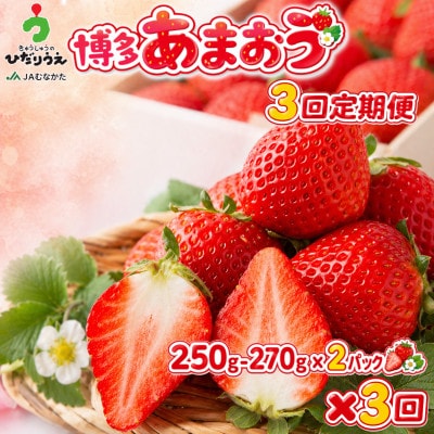 【発送月固定定期便】博多あまおう 250g-270g×2パック(岡垣町)全3回【配送不可地域：離島】