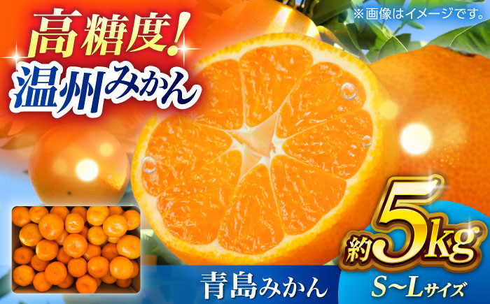 
            温州みかん 『青島』 約5kg S〜Lサイズ 【奥村果実園】 [ZFK005]
          