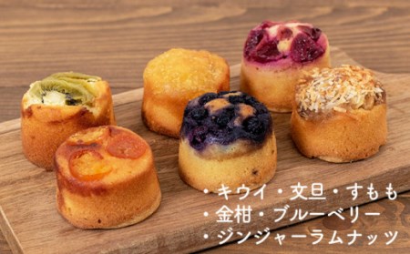 【しまんと果実／ギフト用】タルト（6個入：キウイ・すもも・文旦・ブルーベリー、金柑、ジンジャーラムナッツ）カゴノオト／Ikg-95