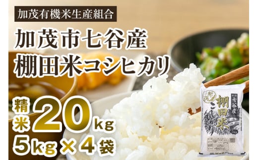 【令和7年産】新潟県加茂市 七谷産 棚田米コシヒカリ 精米20kg（5kg×4）《順次出荷》 白米 加茂有機米生産組合
