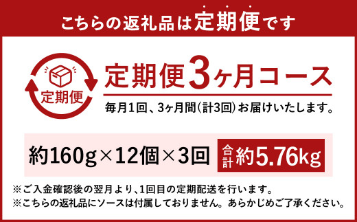 【3ヶ月定期便】手ごね ハンバーグ 約5.76kg（160g×12個）×3回