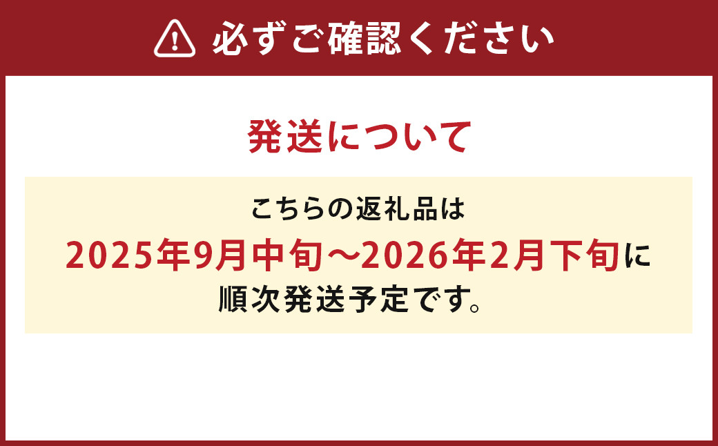 【厳選品】岩手にのへじゃがいも「伝」3～4種 品種おまかせ (サイズ混合) 5kg