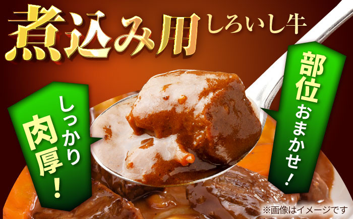 佐賀県産 しろいし牛 とろり 煮込み用 700g