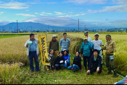 令和7年産 新米 ゆめみしま 精米 10kg 新米