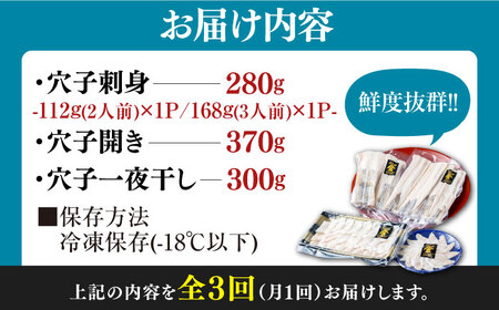 【全3回定期便】対馬産 活〆 穴子 ３点 セット D【THE・対馬株式会社】《対馬市》新鮮 あなご 刺身 天ぷら 海鮮 肉厚 簡単調理 5人前[WAS015]