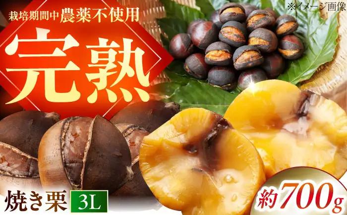 完熟石畳栗 焼き栗 BKAQ001
