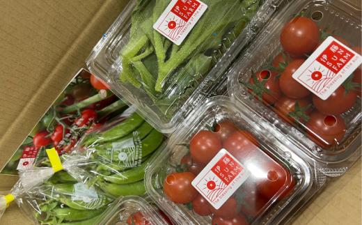 【 先行予約 】 伊藤SUN FARM 野菜セット ミニトマト 6パック スナップエンドウ 400g アイスプラント 240g 期間限定 数量限定 サラダ 野菜 やさい 送料無料 千葉県 旭市 伊藤SUN FARM isf005