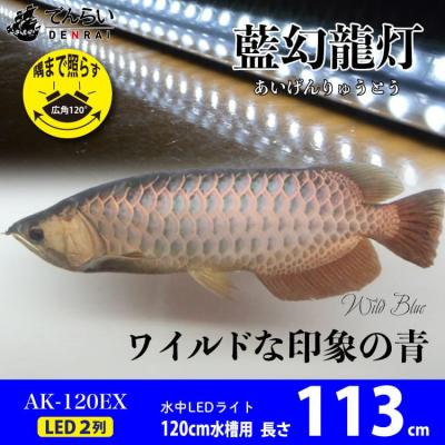 ふるさと納税 小牧市 一瞬で綺麗に魅せる!金龍の青を最大限に強調する水中LEDライト|AK120-EX[172C18]