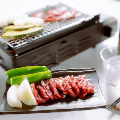 ふるさと納税 菊池市 【桜屋】馬肉焼肉用500gカット済(菊池市)