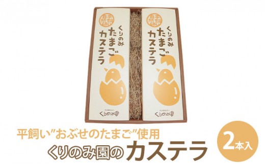 
                  くりのみ園のたまごカステラ(2本入) |  カステラ たまごカステラ たまご スイーツ お菓子 人気 おすすめ ギフト  送料無料  長野県 長野市 信州 信濃 ふるさと納税
                