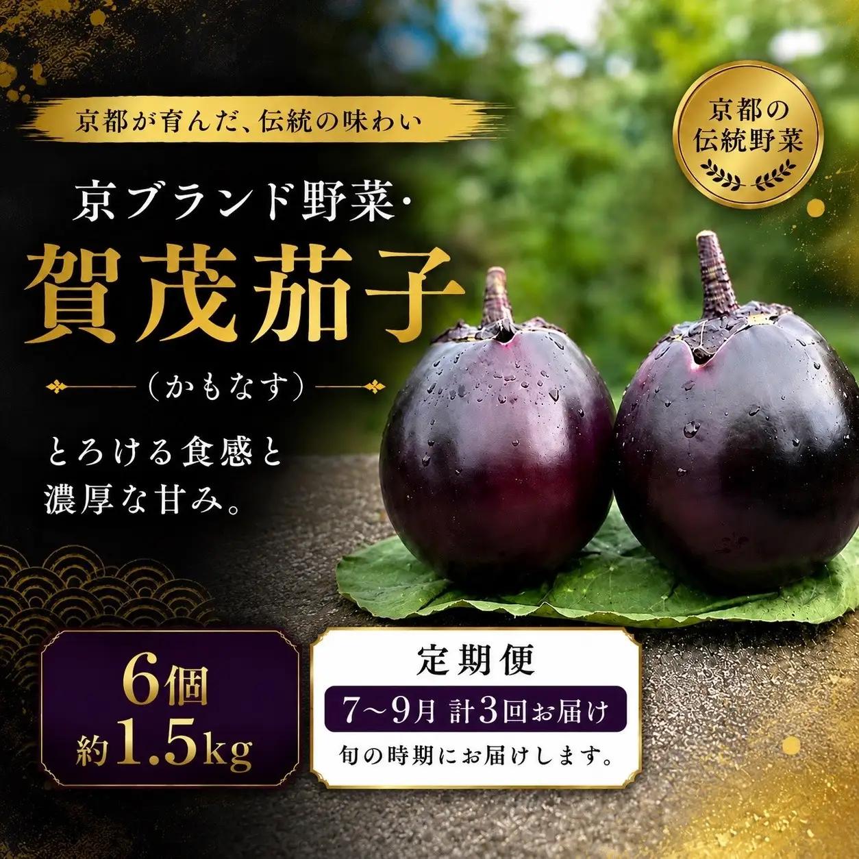＜3回定期便2026年7～9月発送＞賀茂茄子（京野菜）6個 約1.5kg×3回 ｜ 野菜