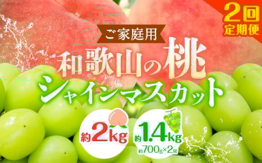 【2回定期便】【ご家庭用 訳あり】和歌山の桃 約2kg (6玉~8玉) 大粒 シャインマスカット 約1.4kg (約700g×2房) m&n果実園 《2025年6月中旬-10月下旬頃出荷》和歌山県 紀の川市 送料無料 桃 旬 果物 フルーツ【配送不可地域あり】