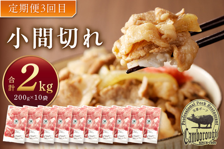 【3か月定期便】ケンボロー芙蓉ポーク おすすめ品3回コース 定期便 3回 豚肉 加工品 ハム ベーコン ウインナー 焼肉 BBQ バーベキュー 島根ポーク 真空パック グルメ 食品 【1533】