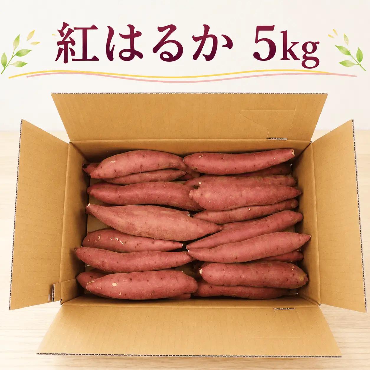 【2027年1月～3月順次発送】 さつまいも 紅はるか 熟成芋 約5kg さつまいも