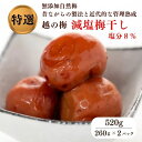 【ふるさと納税】特級 無添加 減塩 梅干し 越の梅 520g(260g×2パック）新潟県糸魚川 白梅 梅ちゃんfarm笠井 うめぼし 塩分8% カメを使った熟成 すっぱい梅干し 梅本来の味わい