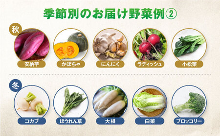 【全6回定期便】有機農法・旬の野菜詰め合わせ 五島市 / ぷらっと農園 [PDS008] 新鮮 野菜 やさい おたのしみ野菜 おまかせ野菜 お取り寄せ野菜 新鮮 野菜 やさい おたのしみ野菜 おまかせ