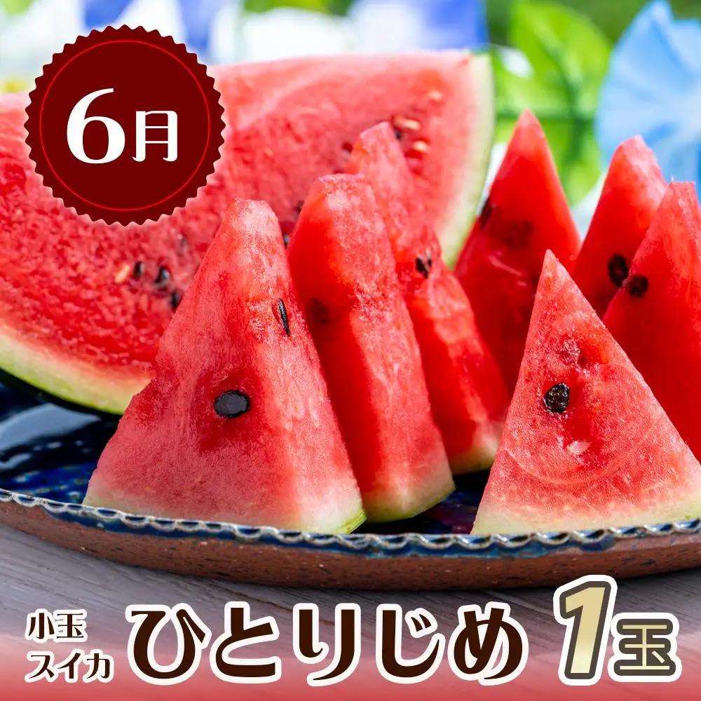 【6・8・10月 全3回】和歌山産 旬のフルーツのお楽しみ 定期便 【魚鶴商店】【UT112】