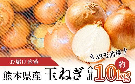 【先行予約】熊本県産 玉ねぎ 10kg (33玉前後) ≪2025年4月下旬から順次発送≫ 玉葱 野菜 数量限定 JAS たまねぎ オニオン 甘い ハンバーグ 肉じゃが 065-0637 大森 重臣