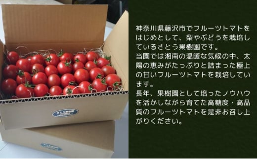 トマト フルーツトマト  2.4kg～3.6kg 2箱 フルティカ 藤沢市 野菜 とまと ミニトマト ハウス栽培