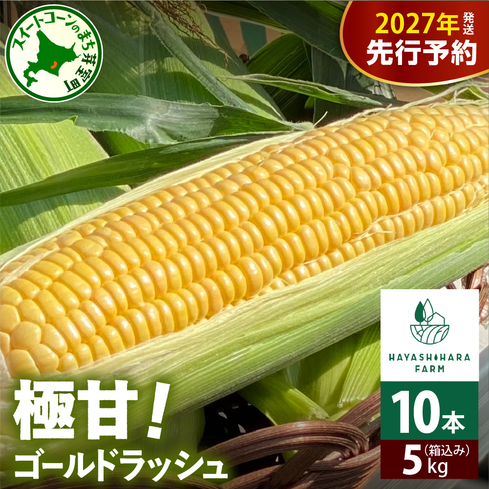 【先行受付】【2027年8月上旬から配送】北海道十勝芽室町 極甘とうもろこし ゴールドラッシュ 10本  me028-001-27b／北海道産 期間限定 とうきび コーン フレッシュ 甘い 産地直送 