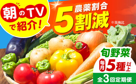 【全3回定期便】 米ぬかで育てた！旬のお野菜セット 詰合せ 詰め合わせ 新鮮 産地直送 おまかせ やさい 野菜セット 大阪府高槻市/ベジ彩ファーム[AOEJ005]