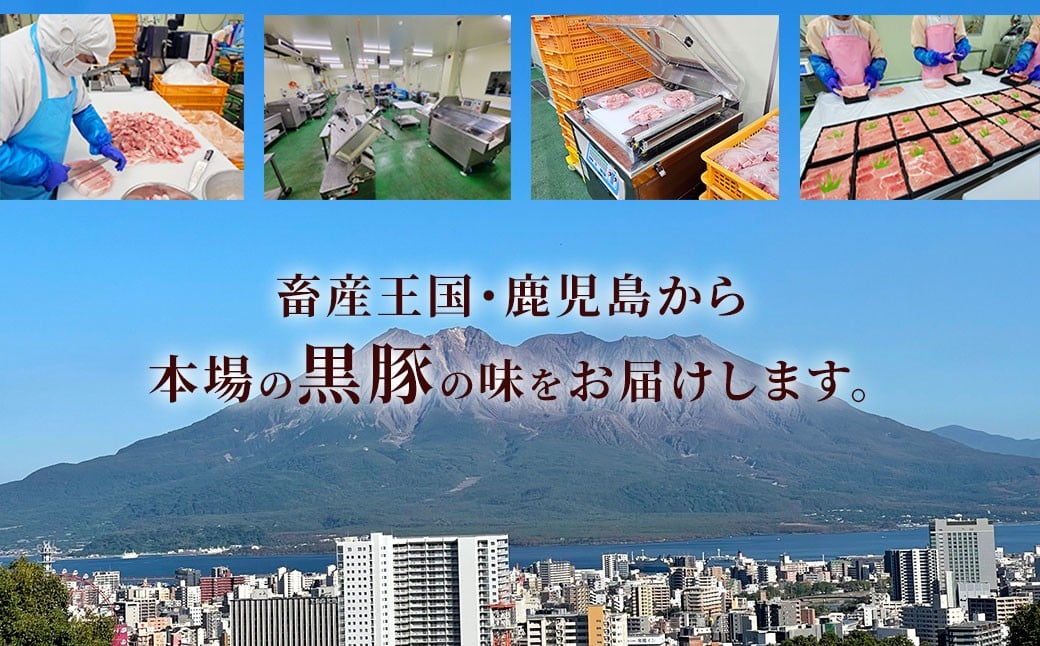 【12ヶ月定期便】鹿児島県産黒豚 3種詰合せ(約1.4kg×12回)