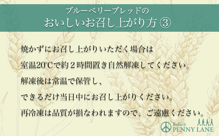 【隔月3回配送定期便】ペニーレインのブルーベリーブレッド3本セット【 パン パン屋 茨城県 つくば市 ブルーベリー 冷凍パン お取り寄せ 人気 おすすめ ベーカリー グルメ プレゼント レストラン ド