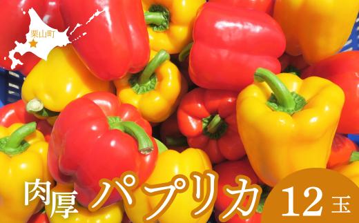 北海道栗山町産 土で育てた匠のパプリカ 12玉　D023