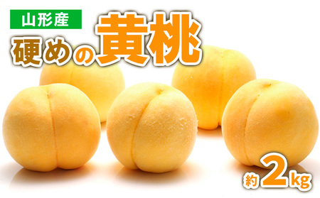 山形産 硬めの黄桃　約２kg（4～9玉)秀品 【令和7年産先行予約】FS23-778 くだもの 果物 フルーツ 山形 山形県 山形市 2025年産