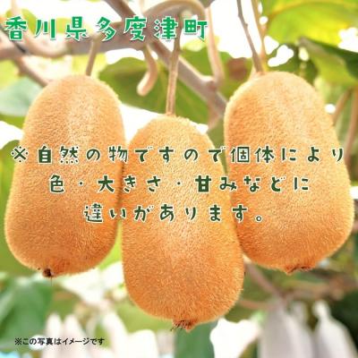 ふるさと納税 多度津町 香川県オリジナルキウイフルーツ「香緑」約3.5kg【B-31】 |  | 02