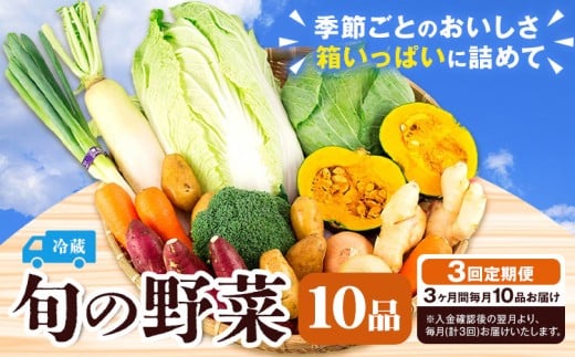 旬の野菜 定期便 計3回 旬の野菜 10品【養生市場】定期便 品種おまかせ ランダム 3ヶ月お届け 計3回 詰め合わせ セット 野菜 九州産 熊本県産《お申し込みの翌月から出荷》
