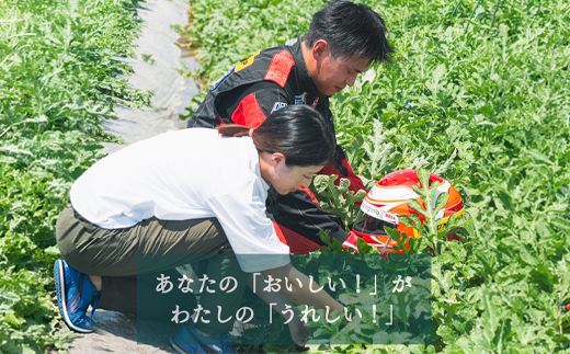 尾花沢プレミアすいか 羅皇ザ・スイート 大玉 4-5Lサイズ(約9~10kg) 1玉 2026年産 令和8年産 nf-su45r1